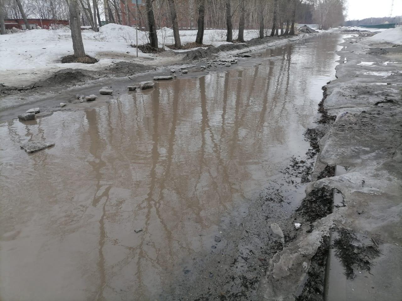 Фото Утекай: долгожданная весна превратила Новосибирск в город огромных луж 2